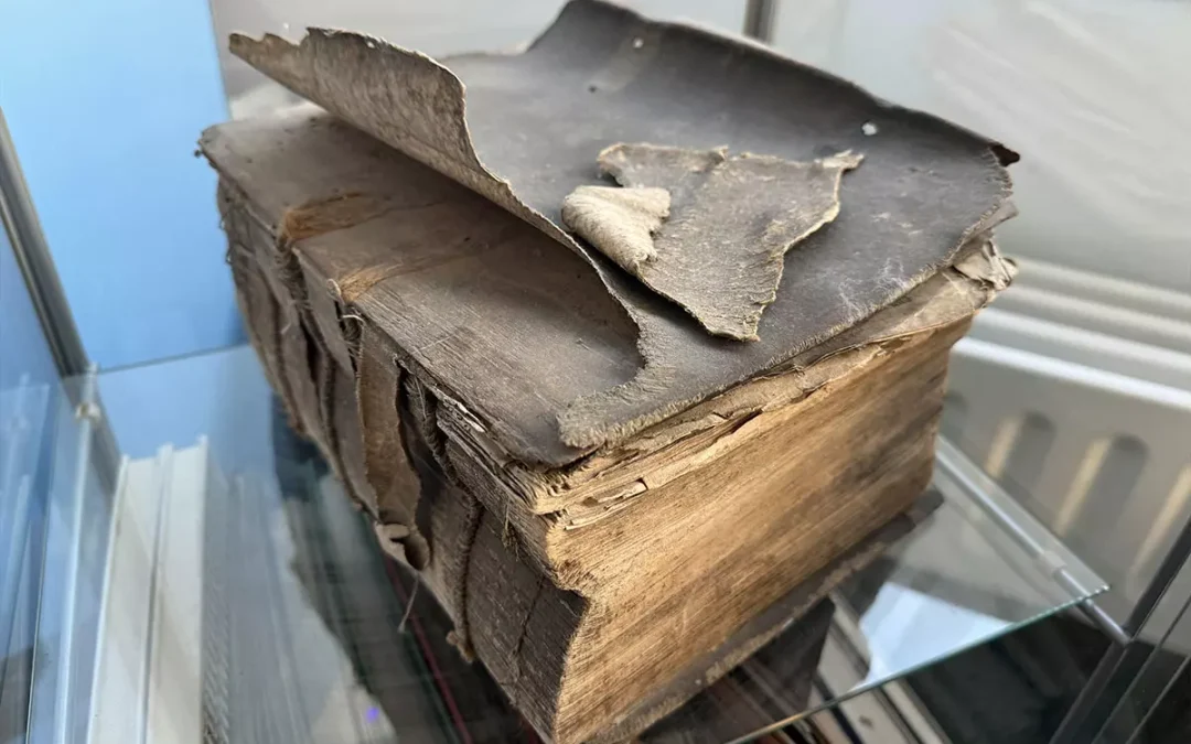 Buchkultur