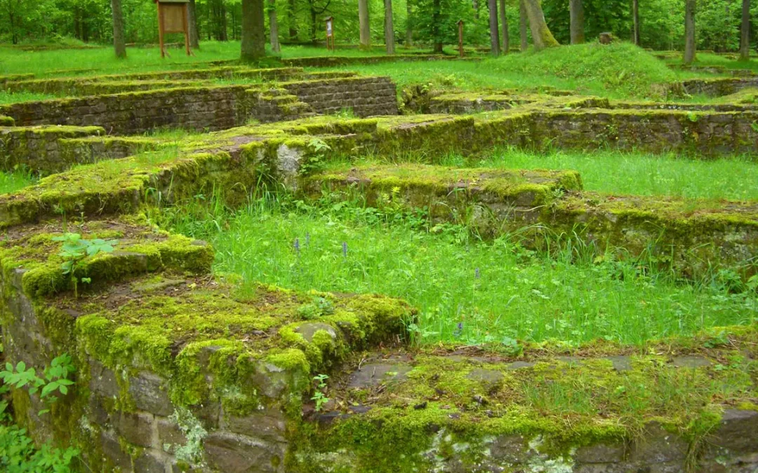 Herbstwanderung durch den Hagenschießwald auf Römischen Spuren