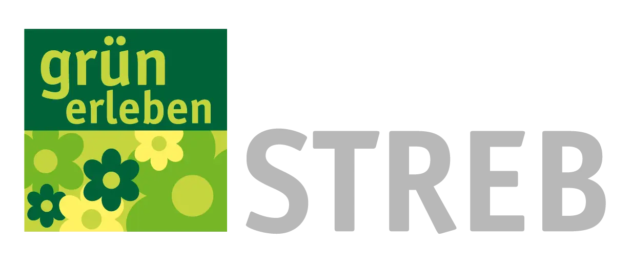 Logo Streb